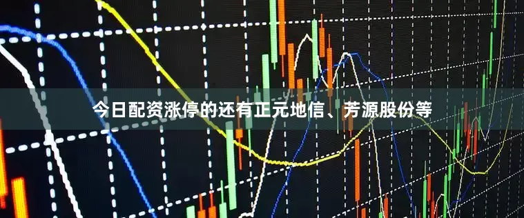 今日配资涨停的还有正元地信、芳源股份等